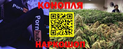 PSILOCYBIN Волжский