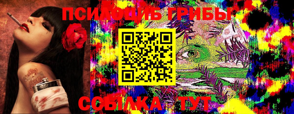 Псилоцибиновые грибы GOLDEN TEACHER Гусев