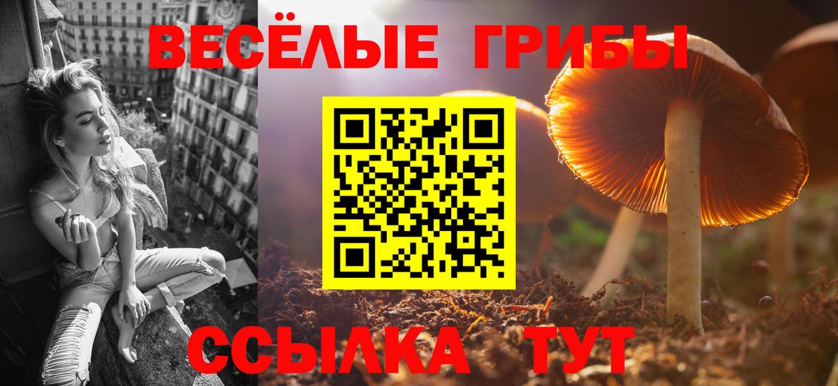Мефедрон  COCAIN  Каннабис  Гусев  Вход с VPN  ГАШИШ  Каннабис 
