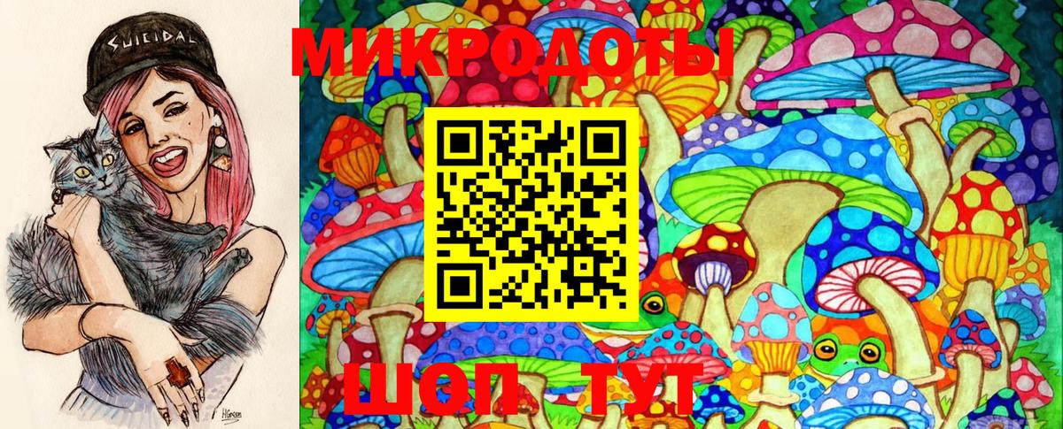 Псилоцибиновые грибы MAGIC MUSHROOMS  Гусев 