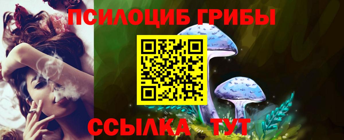 Галлюциногенные грибы GOLDEN TEACHER Гусев